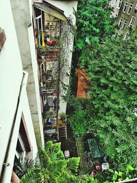 Plants growing in front of building