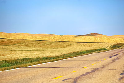 Golden barley fields beside a long highway.