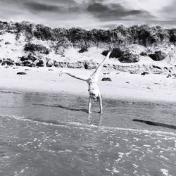 Woman performing cartwheel at beach on sunny day