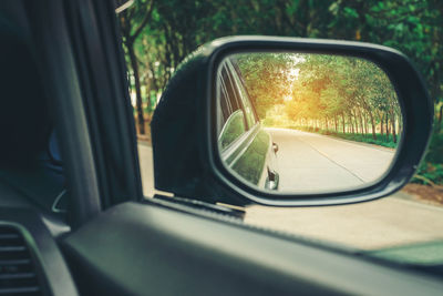 Reflection of car on side-view mirror