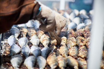 Close-up of food for sale in market