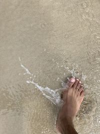 Low section of person on wet sand
