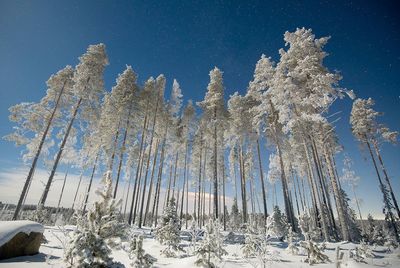 Low angle view of snow covered landscape