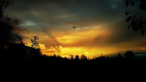 Silhouette of trees against cloudy sky