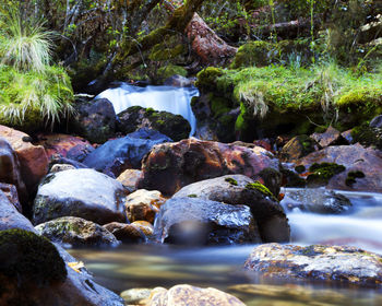 stream