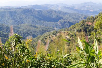 Scenic view of mountains