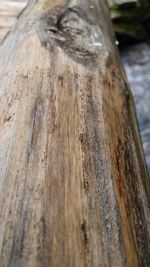 Close-up of wooden plank