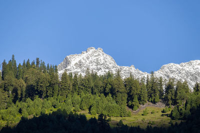 Scenic view of snowcapped mountains against clear blue sky