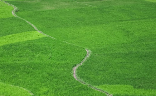 High angle view of soccer field