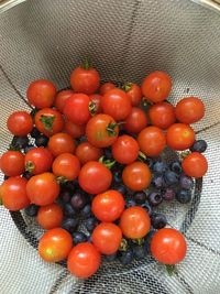 High angle view of tomatoes