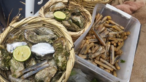 High angle view of seafood