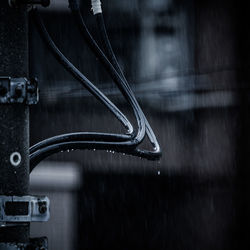 Close-up of raindrops falling from cable