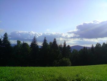 Scenic view of grassy field against sky