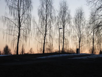 Bare trees against sky during winter