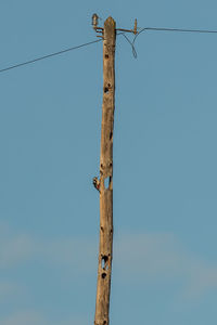 Low angle view of wooden post against clear sky