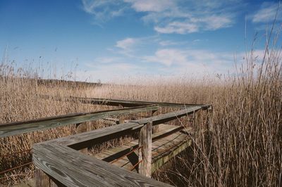 Wooden boardwalk on grassy field