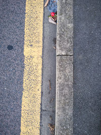 High angle view of woman on road