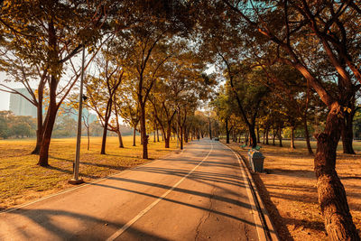 Footpath amidst trees in park during autumn