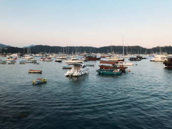 Boats moored on sea