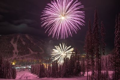 Low angle view of firework display at night