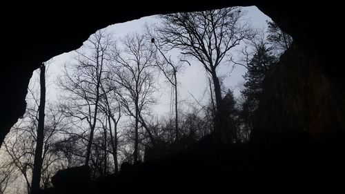 Low angle view of trees against sky