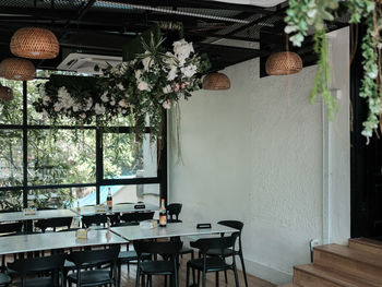 Potted plant on table at home
