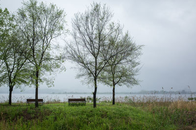 Trees on field against sky