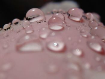 Close-up of water drop