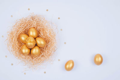 High angle view of eggs against white background