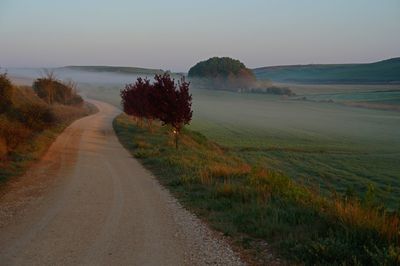 Dirt road amidst field against sky