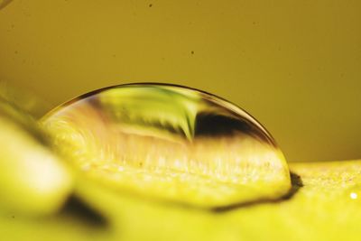 Close-up of water drops on glass