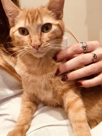 Midsection of woman with cat