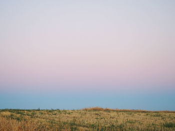 Scenic view of field against clear sky