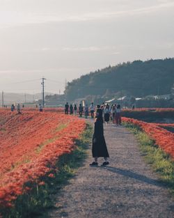 Rear view of people walking on road against sky