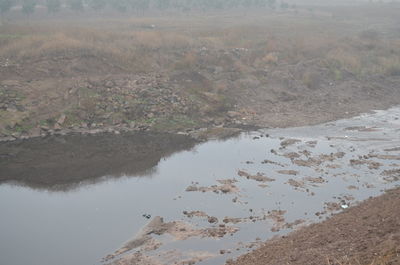 High angle view of lake shore