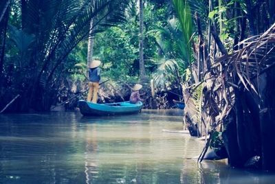 Reflection of trees in water