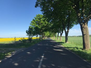 Road amidst trees on field against sky