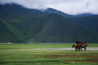 People riding horses on grassy field against mountain