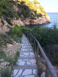 Footpath leading towards sea