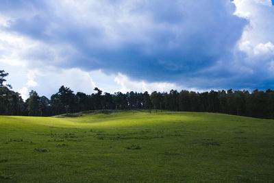 Scenic view of agricultural field against sky