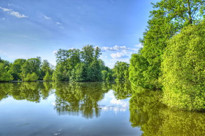 Scenic view of lake by trees against sky