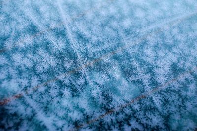 Scenic view of snow covered landscape