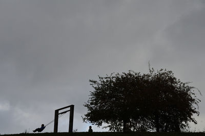 Low angle view of tree against sky