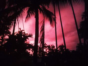 Low angle view of silhouette palm trees against sky at sunset