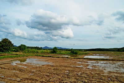 Puddle on landscape against sky