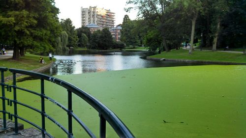 Pond in park