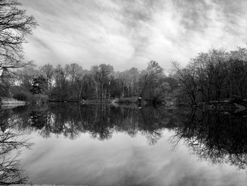 Reflection of trees in lake against sky