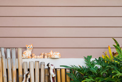 View of stuffed toy against wall