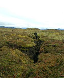Scenic view of field against sky