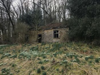 Abandoned house on field against trees